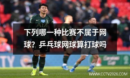 下列哪一种比赛不属于网球？乒乓球网球算打球吗