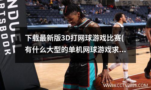 下载最新版3D打网球游戏比赛(有什么大型的单机网球游戏求分享)