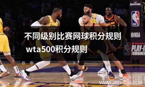 不同级别比赛网球积分规则 wta500积分规则