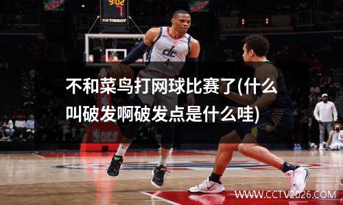 不和菜鸟打网球比赛了(什么叫破发啊破发点是什么哇)