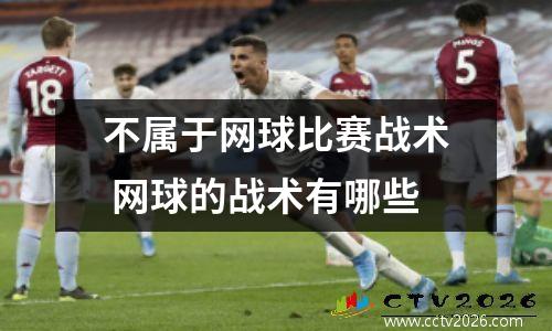不属于网球比赛战术 网球的战术有哪些