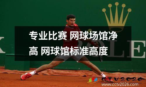 专业比赛 网球场馆净高 网球馆标准高度