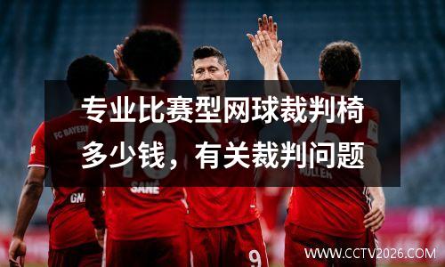 专业比赛型网球裁判椅多少钱，有关裁判问题