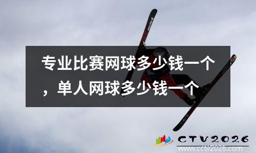 专业比赛网球多少钱一个，单人网球多少钱一个
