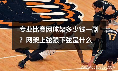 专业比赛网球架多少钱一副？网架上弦跟下弦是什么