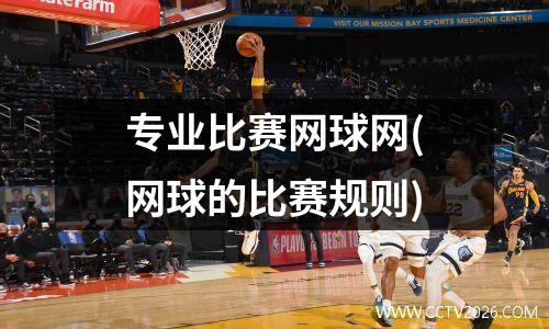 专业比赛网球网(网球的比赛规则)