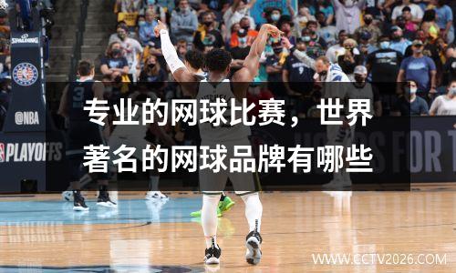 专业的网球比赛，世界著名的网球品牌有哪些