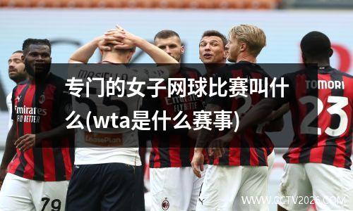 专门的女子网球比赛叫什么(wta是什么赛事)