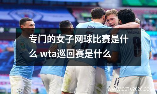 专门的女子网球比赛是什么 wta巡回赛是什么