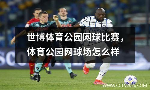 世博体育公园网球比赛，体育公园网球场怎么样