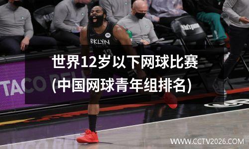 世界12岁以下网球比赛(中国网球青年组排名)