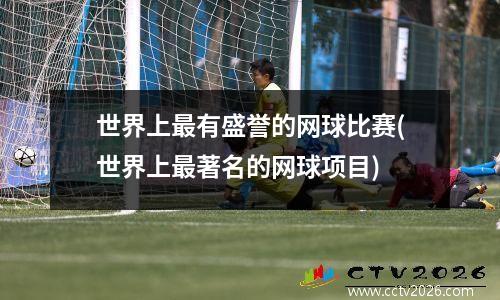 世界上最有盛誉的网球比赛(世界上最著名的网球项目)