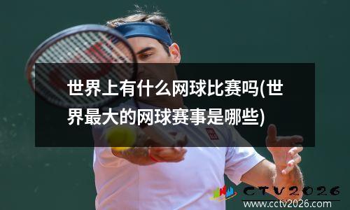 世界上有什么网球比赛吗(世界最大的网球赛事是哪些)