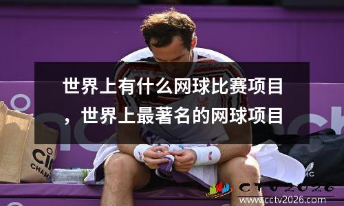 世界上有什么网球比赛项目，世界上最著名的网球项目