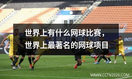 世界上有什么网球比赛，世界上最著名的网球项目