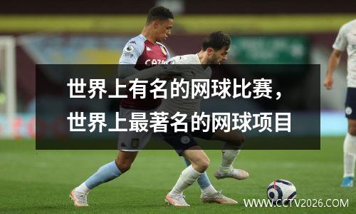 世界上有名的网球比赛，世界上最著名的网球项目