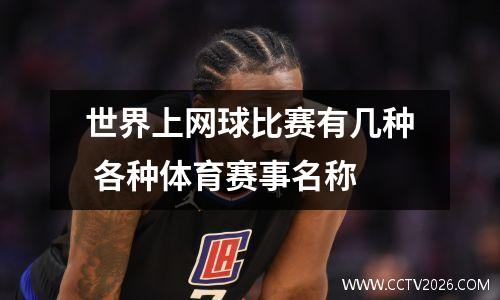 世界上网球比赛有几种 各种体育赛事名称