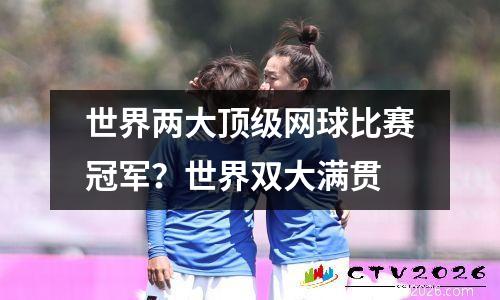 世界两大顶级网球比赛冠军？世界双大满贯