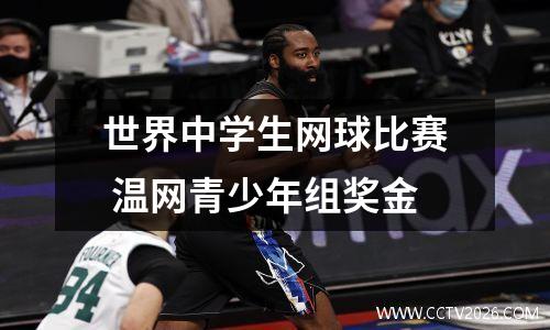 世界中学生网球比赛 温网青少年组奖金