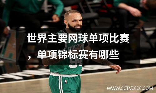 世界主要网球单项比赛，单项锦标赛有哪些
