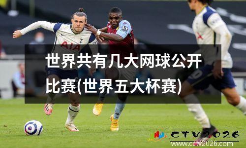 世界共有几大网球公开比赛(世界五大杯赛)