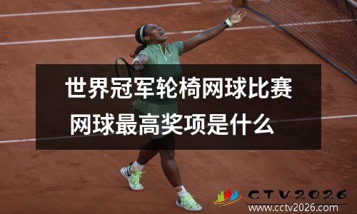 世界冠军轮椅网球比赛 网球最高奖项是什么
