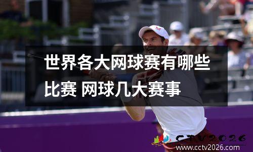 世界各大网球赛有哪些比赛 网球几大赛事