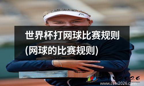 世界杯打网球比赛规则(网球的比赛规则)