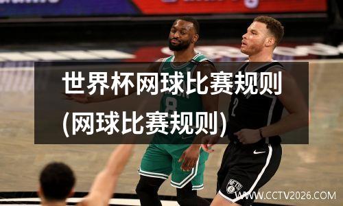 世界杯网球比赛规则(网球比赛规则)