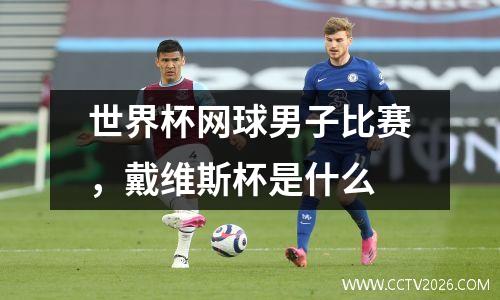 世界杯网球男子比赛，戴维斯杯是什么