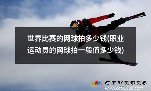 世界比赛的网球拍多少钱(职业运动员的网球拍一般值多少钱)