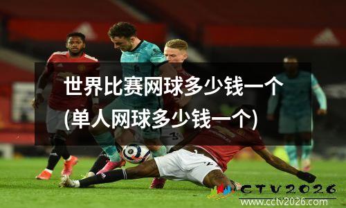 世界比赛网球多少钱一个(单人网球多少钱一个)