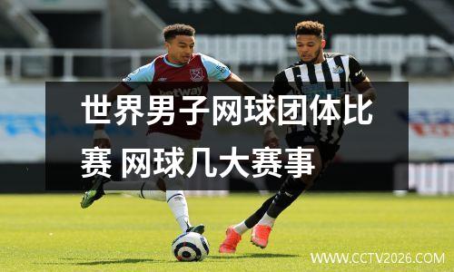 世界男子网球团体比赛 网球几大赛事