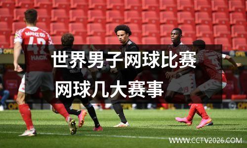 世界男子网球比赛 网球几大赛事