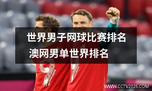 世界男子网球比赛排名 澳网男单世界排名