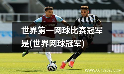 世界第一网球比赛冠军是(世界网球冠军)