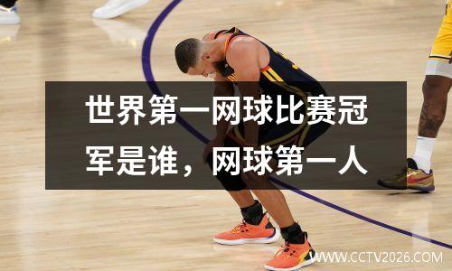 世界第一网球比赛冠军是谁，网球第一人