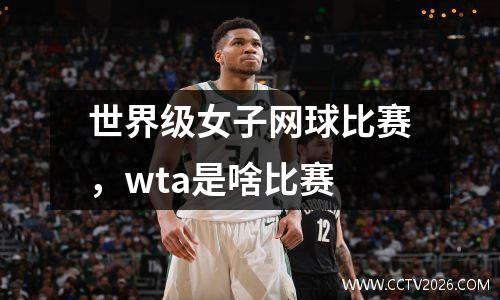 世界级女子网球比赛，wta是啥比赛