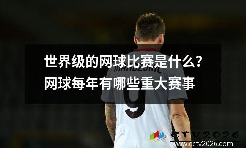 世界级的网球比赛是什么？网球每年有哪些重大赛事