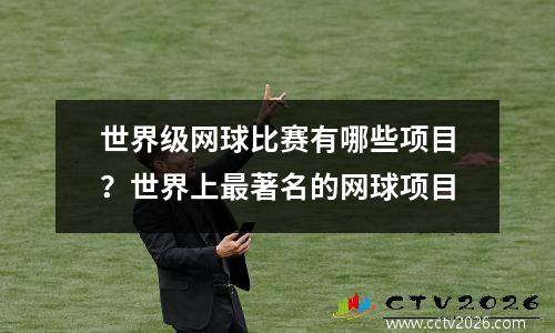 世界级网球比赛有哪些项目？世界上最著名的网球项目