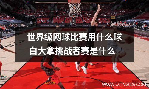 世界级网球比赛用什么球 白大拿挑战者赛是什么