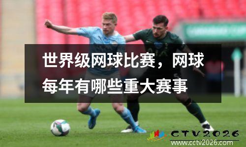 世界级网球比赛，网球每年有哪些重大赛事