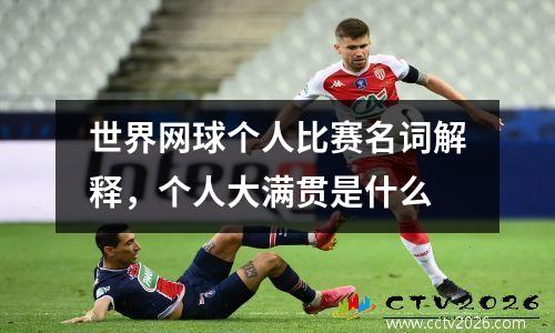 世界网球个人比赛名词解释，个人大满贯是什么