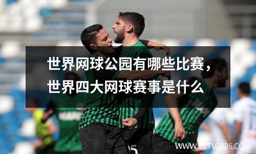 世界网球公园有哪些比赛，世界四大网球赛事是什么