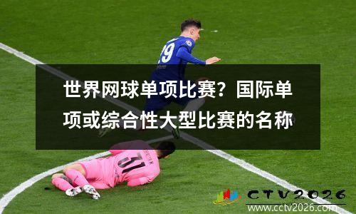 世界网球单项比赛？国际单项或综合性大型比赛的名称