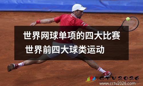 世界网球单项的四大比赛 世界前四大球类运动