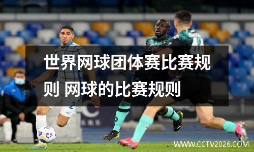 世界网球团体赛比赛规则 网球的比赛规则