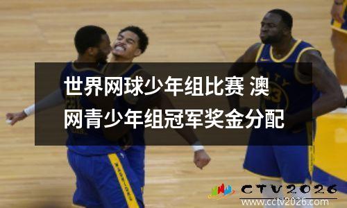 世界网球少年组比赛 澳网青少年组冠军奖金分配