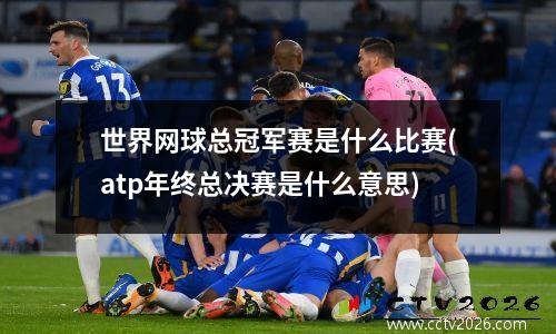 世界网球总冠军赛是什么比赛(atp年终总决赛是什么意思)