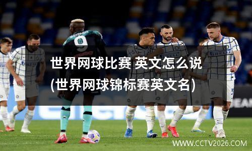 世界网球比赛 英文怎么说(世界网球锦标赛英文名)